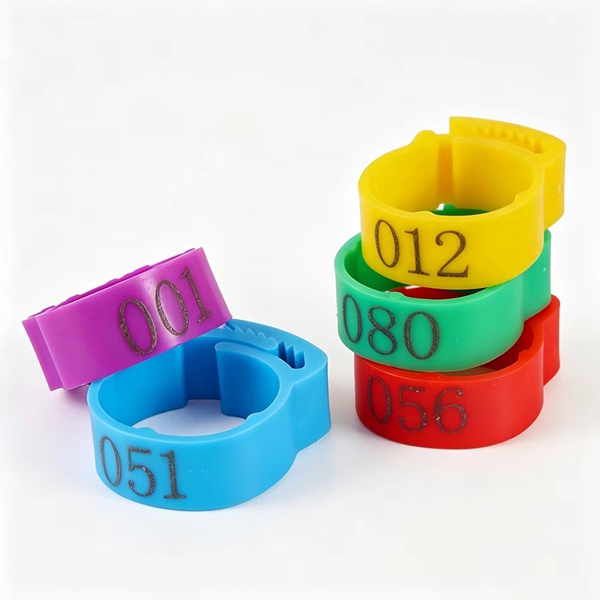 Pigeon Leg Bands Five Colors