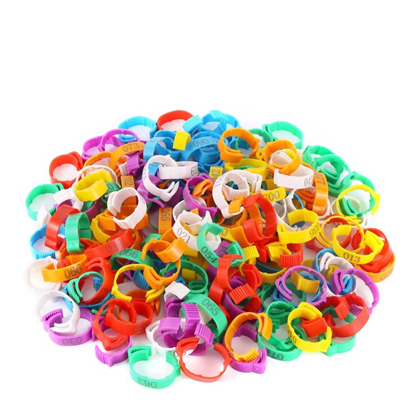 Poultry Leg Bands Multi-Color