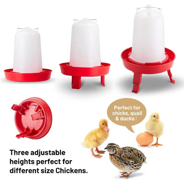 Chick Waterer 3-Level Adjustable
