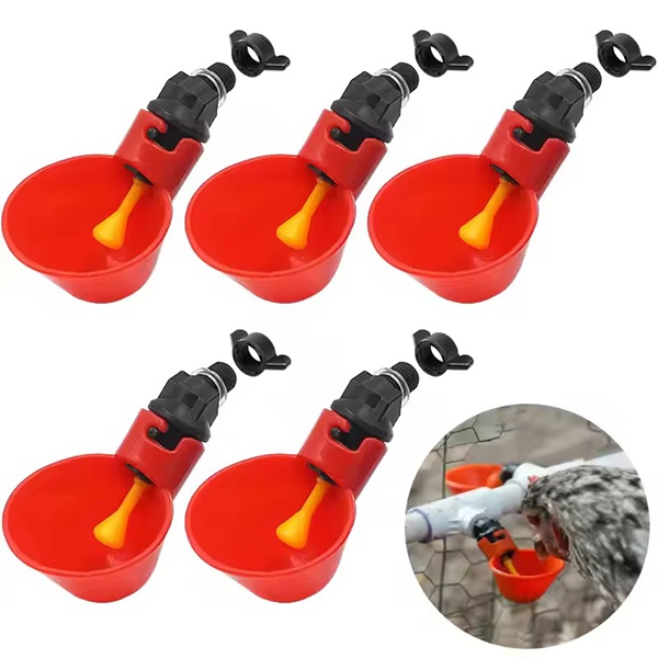 Chick Drinking Bowl 5-Piece Set
