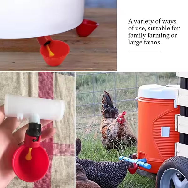 Chick Drinking Bowl Application Scenarios
