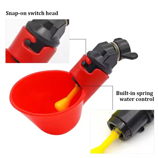 Chick Drinking Bowl Internal Structure