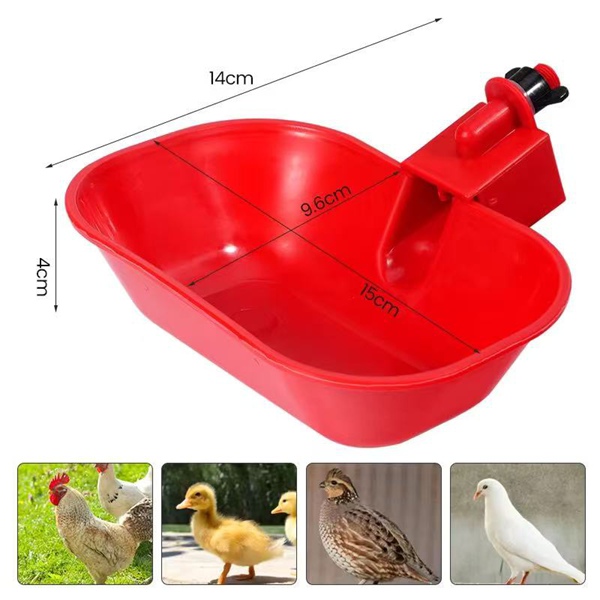 Chick Drinking Bowl Red Oval