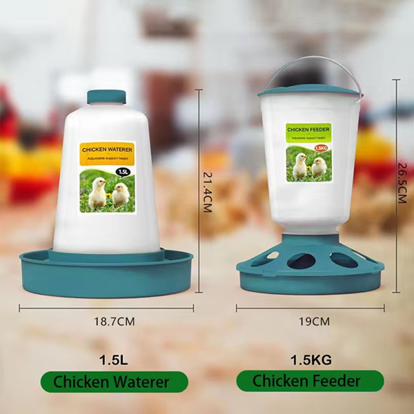 Chick Feeder Waterer Blue Green