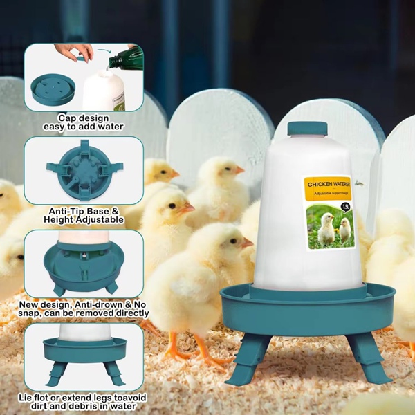 Chick Waterer Teal Green 1.5L