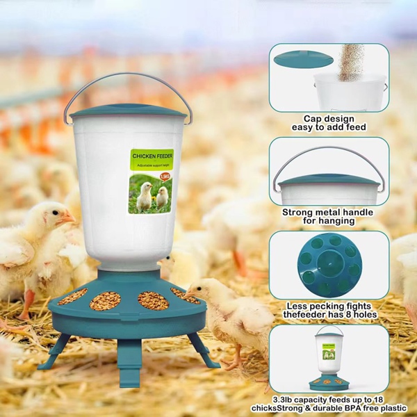 Chick Feeder 8 Holes