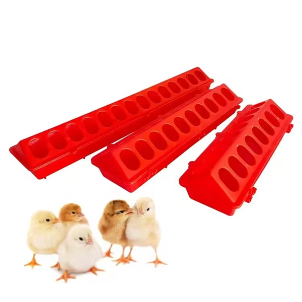 Chick Long Feeder Trough 3 Compartment