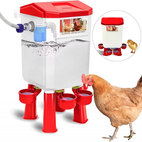 Chicken Drinker Red White for Hens