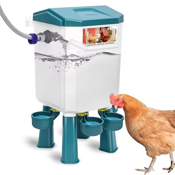 Chicken Drinker Teal Green