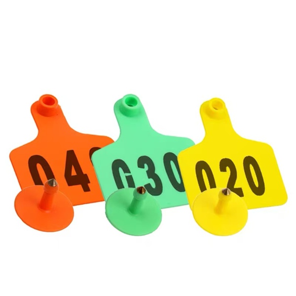 Livestock Ear Tags Orange Green Yellow with Pin