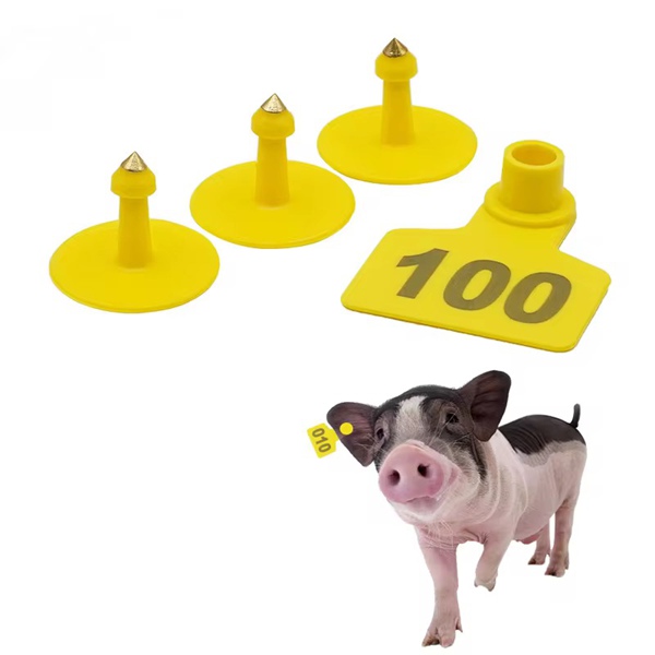 Livestock Ear Tags for Piglets