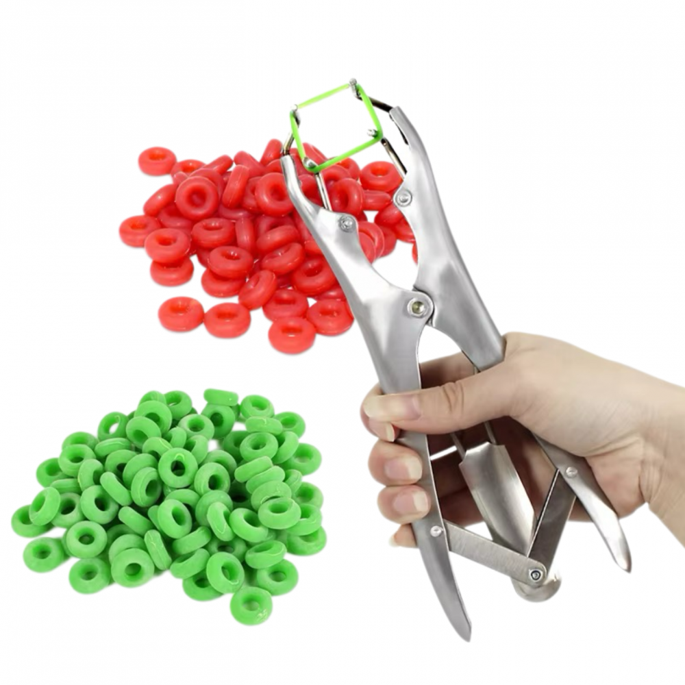 Tail Docking Pliers Silver