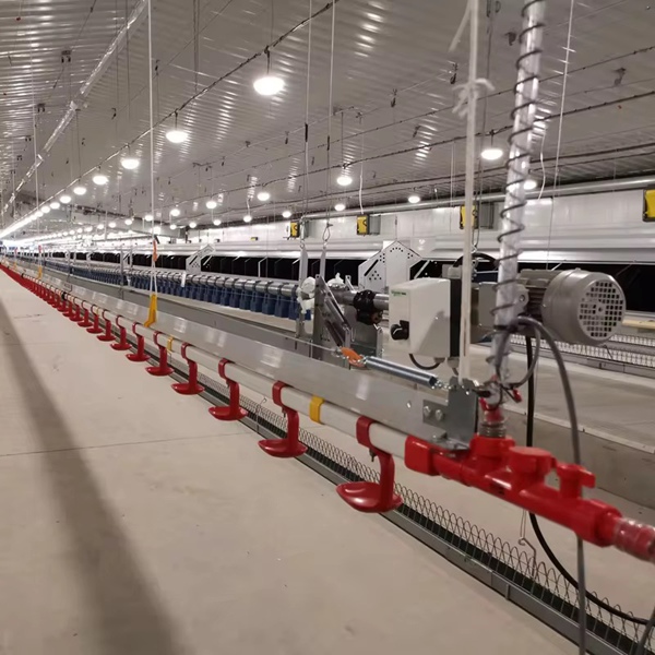 Complete Automatic Feed Line Equipment Set for Farms