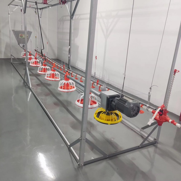Farm Automatic Feeding System with Red and White Pans