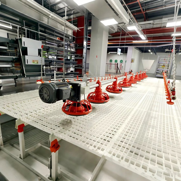 Farm Feed Line Red Feeding Pan