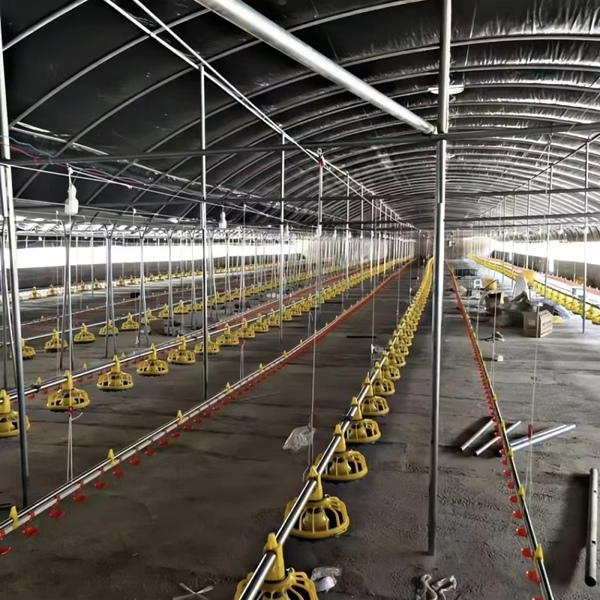 Farm Water and Feed Line Greenhouse Installation