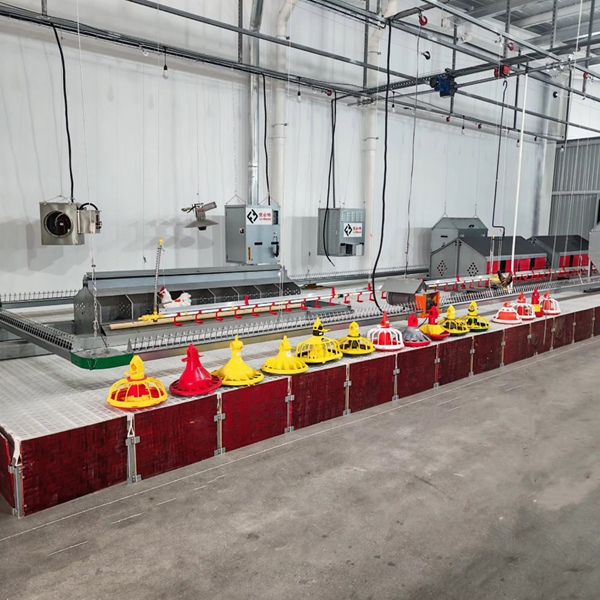 Automatic Feeding Line for Large-Scale Farms