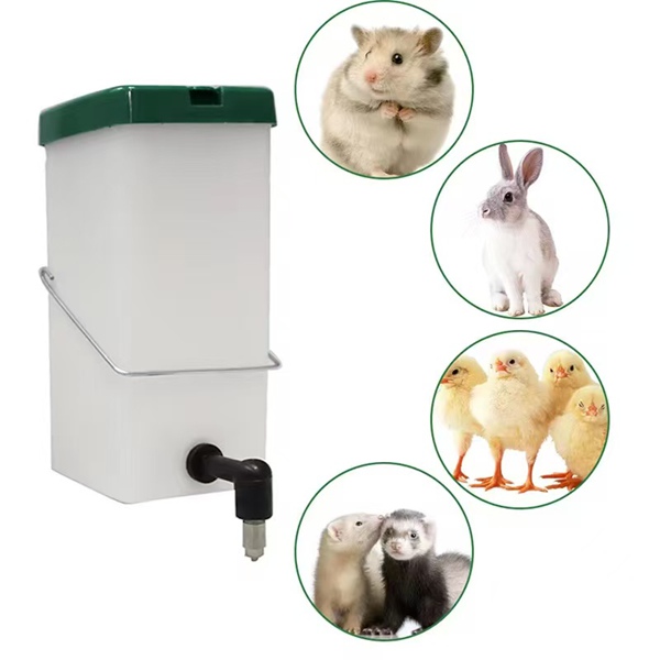 Rabbit Water Drinker
