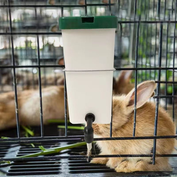 Rabbit Water Drinker for Brown Rabbits