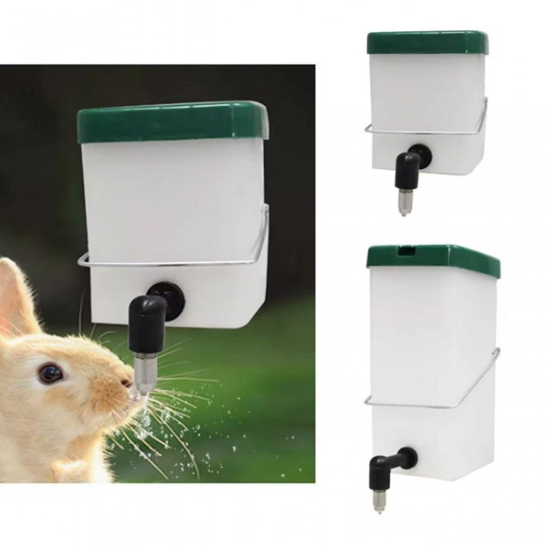 Rabbit Water Drinker Usage Guide
