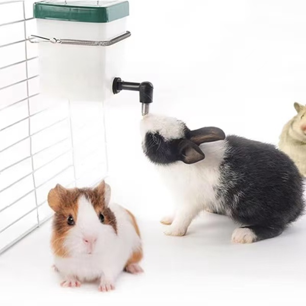 Rabbit Water Drinker for Small Pets