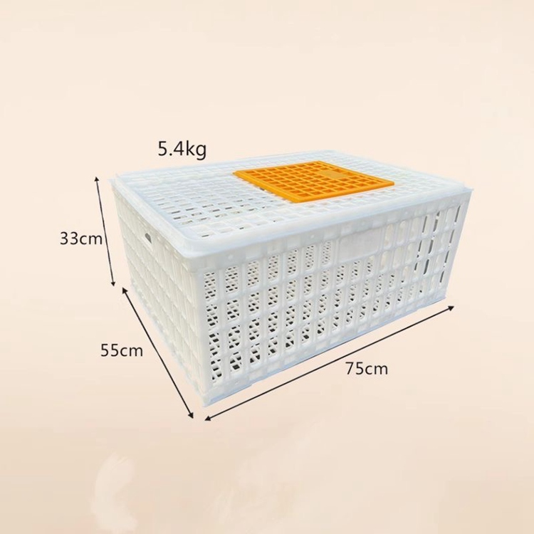 Poultry Transfer Box with Lid