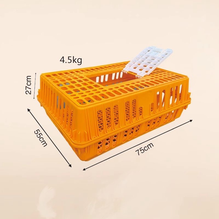 Orange Transport Cage