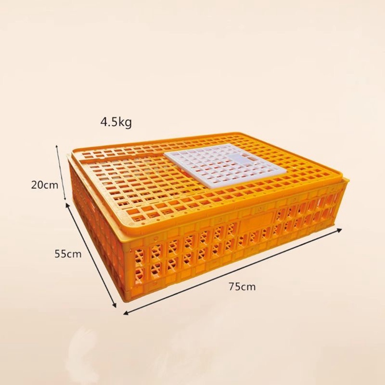 Yellow Transfer Box