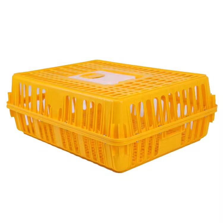 Plastic Transport Cage