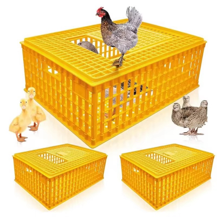 Poultry Transport Cage with Chicken