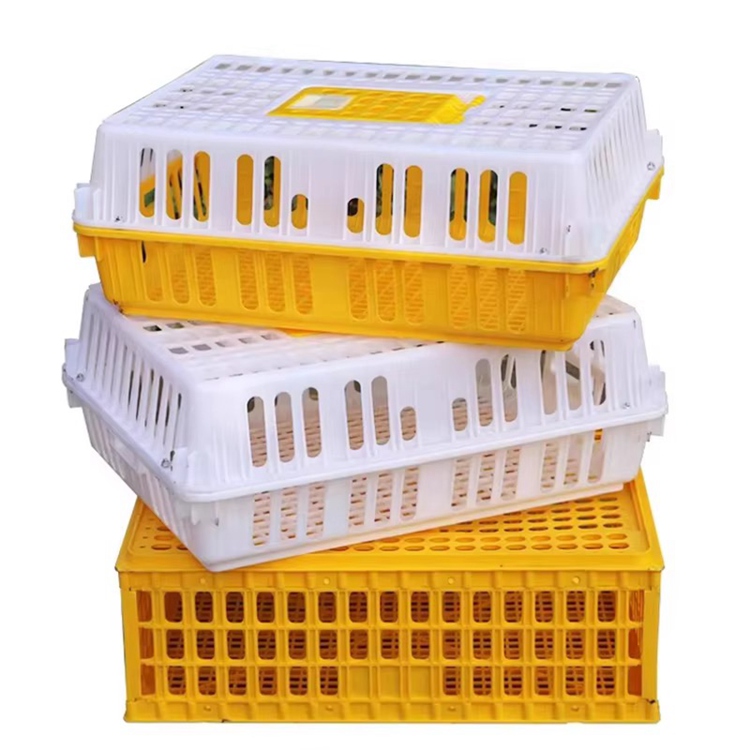 Stackable Transfer Crate