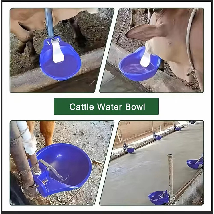 Farm Cattle Drinking Bowl
